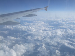 DSCF1481