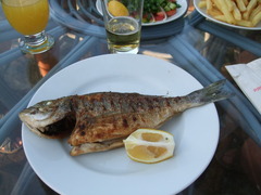 DSCF1546
