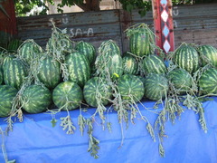 DSCF1490