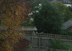 DSCF1379