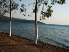 DSCF1520