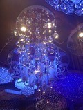 IMG_6368