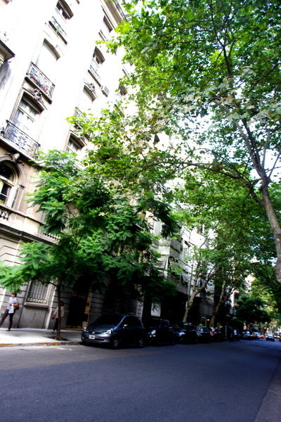 09-IMGP9499