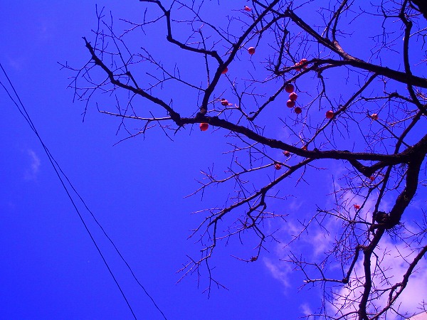 5960e59e.jpg