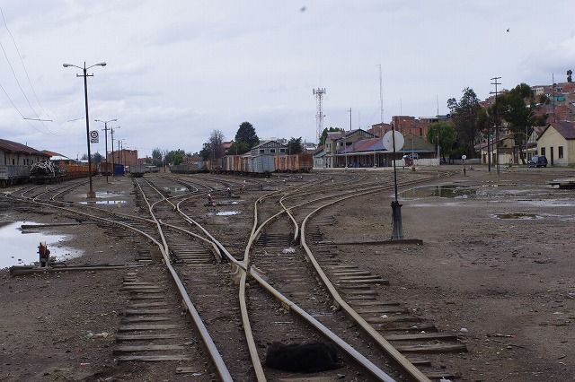 IMGP4929