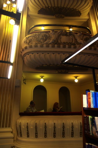 15-IMGP9508