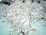 12012601