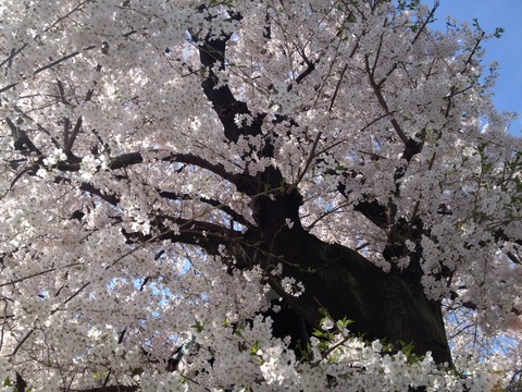 2014-04-01-09-14-12