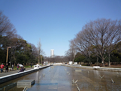 vga_P1010564