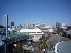 P1010590