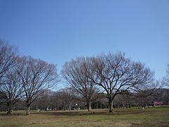 vga_P1010574