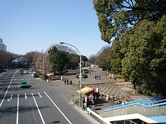 vga_P1010558