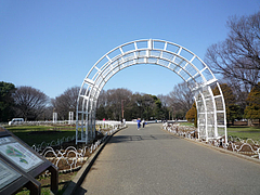 vga_P1010563