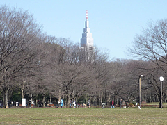 vga_P1010578