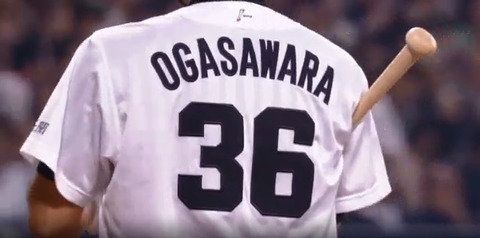 ogasawara