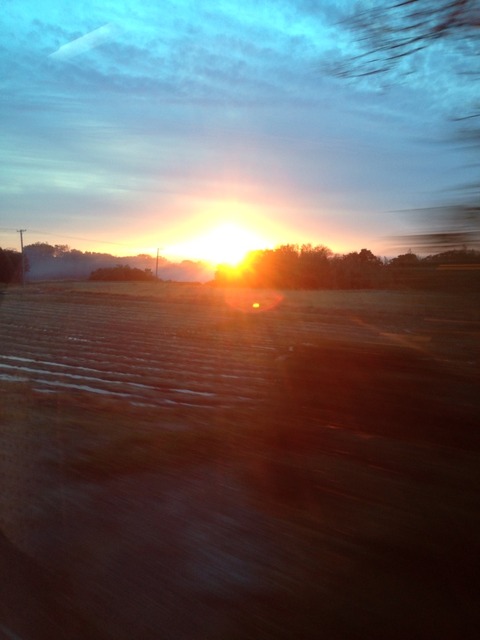 佐渡ひ行ってきました🎶🎶