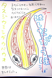 DSC01809