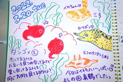 DSC02563