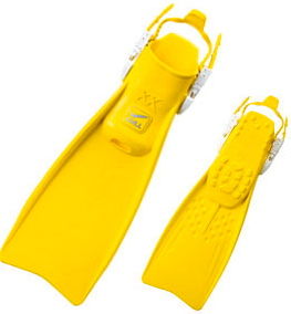 fin01