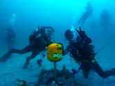 M0017002
