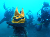 M0019826