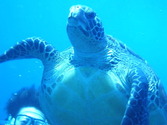 M0018789