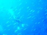M1054794