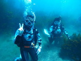 M0016739