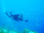 M0013579