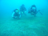 M0013985