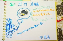 DSC03664