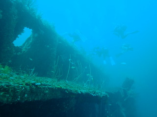 P7020331