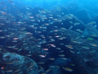 P3070512