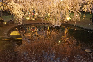DSC04668