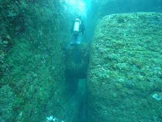 M0012365