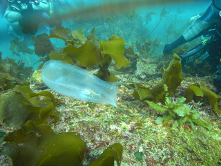 M0014191