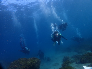 P1130248