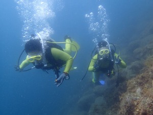 P6180038