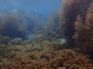 P4010030