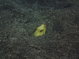 P6030123
