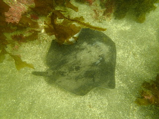 P4080007