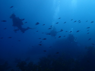 P1010102