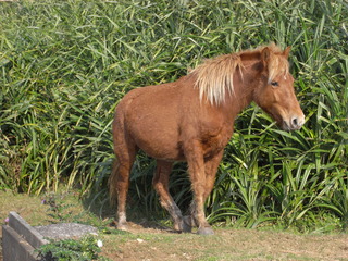 M0012881