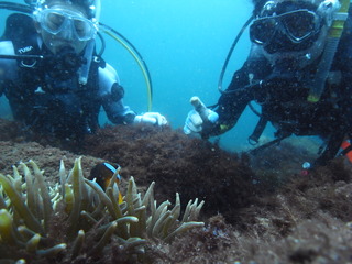 M0017706