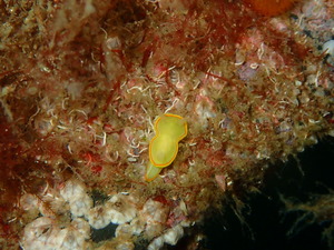 P5030089