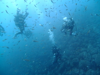 DSCF0706