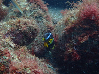 P5200192