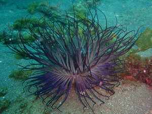 P5030024