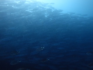 P3210179