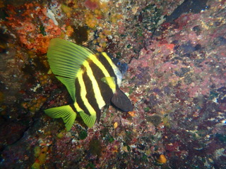 P8120082